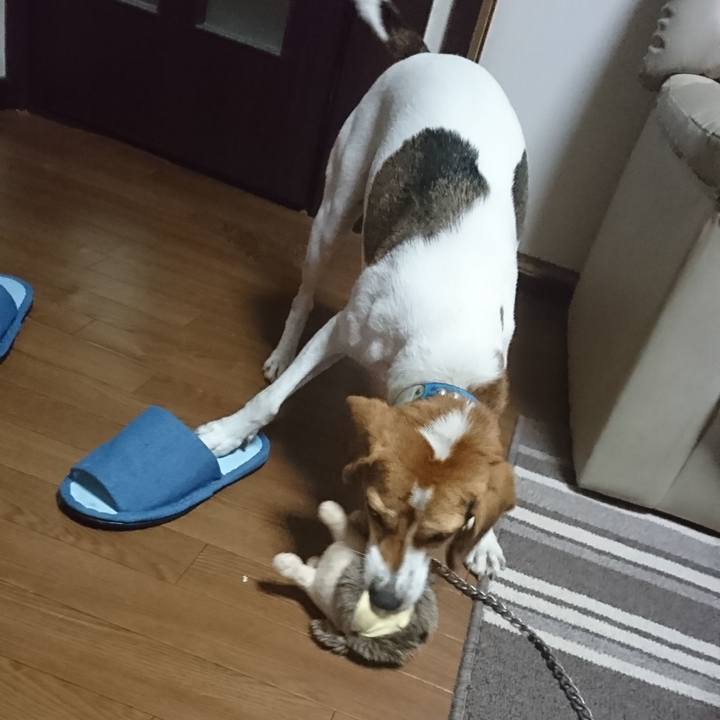 C776984b 61b3 4510 9b67 60f554434452 1571915330750