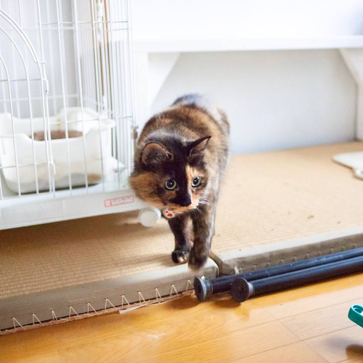 C776ad20 27a6 4597 b1fc 7e5a60824433 1581750518107