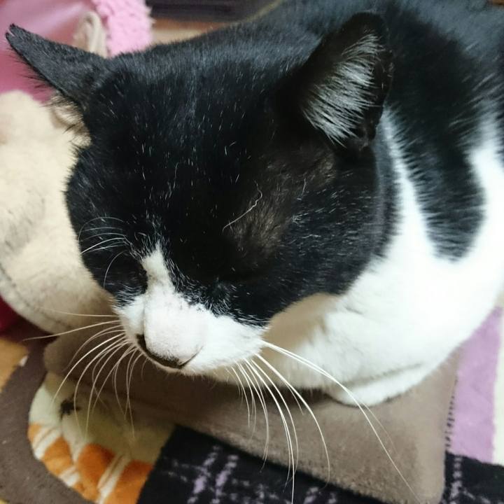 C776bcd9 bdcb 4cfc 9bc4 d697275bb1aa 1517408763926