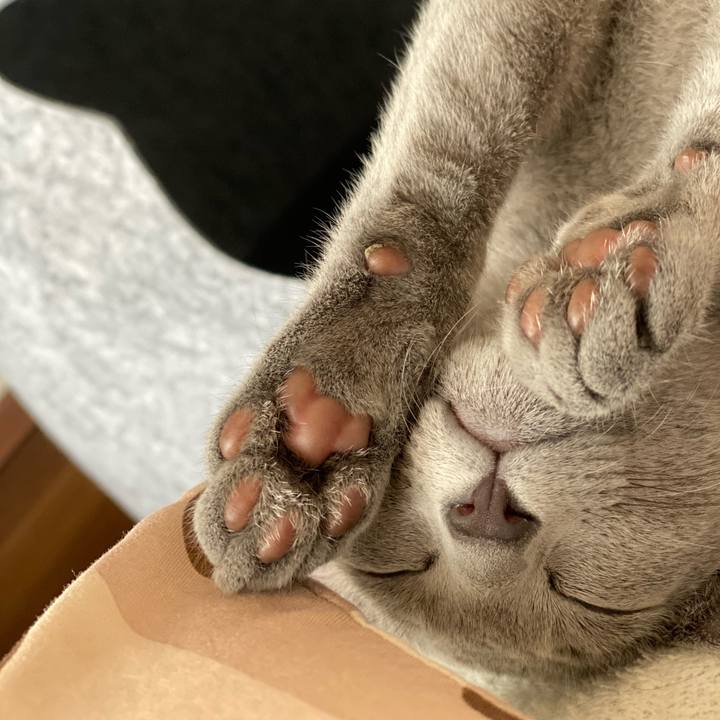 C776f246 1245 4e87 8965 6a7c4591ac9e 1596625595069