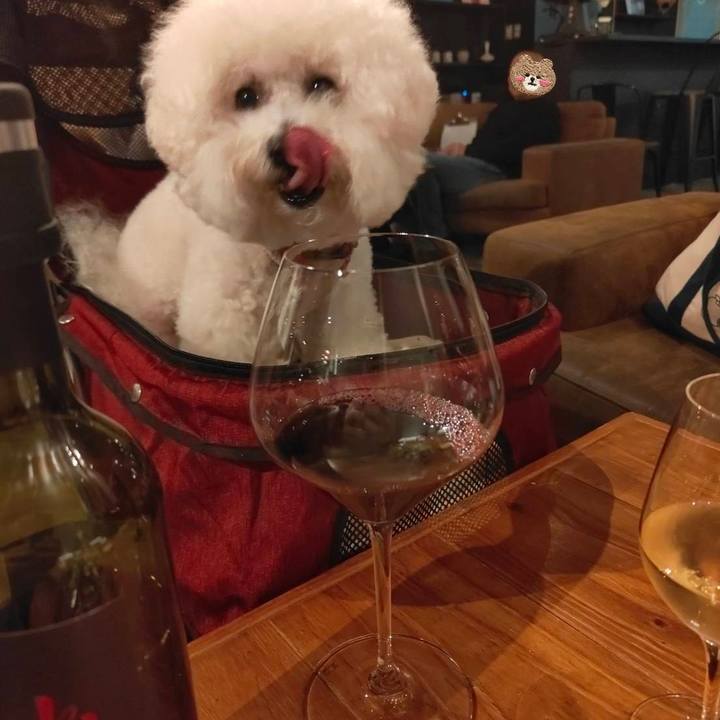 C777173b 6dcc 4dcf aa48 c48387350eaa 1762777229048