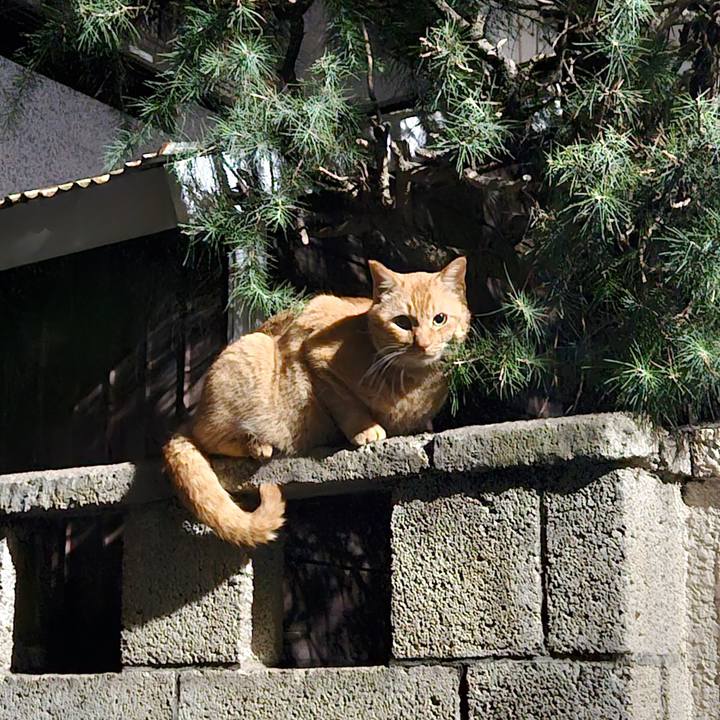 C7772387 1a4d 45b0 917c ce168ed29c2f 1708487621476