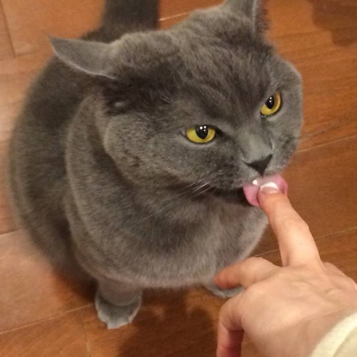 C7779b1f 0f43 4b74 93cd 5b2e90429e9f 1518004980205