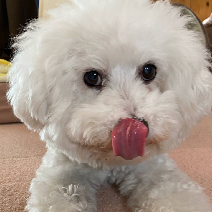 C777bbaa ef92 4cca 8b6a 65bd5ec21f95 1667356472081