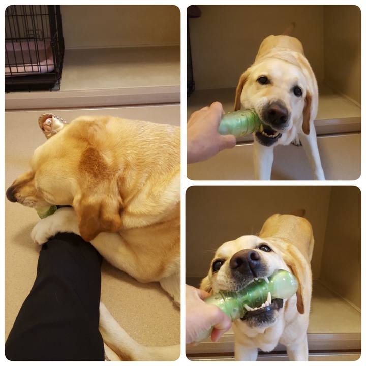 C777cd20 a625 4f0d 89f3 4b414708d371 1562849725088