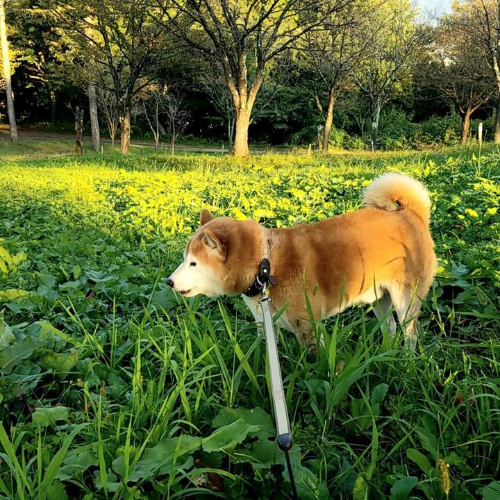 C777f90b 1a95 4bc4 9b9e 69d3c103ca5a 1664609307277