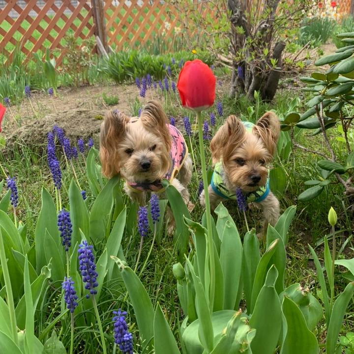 C7780652 370c 4bee b848 f1a8b1a23fef 1652435822190