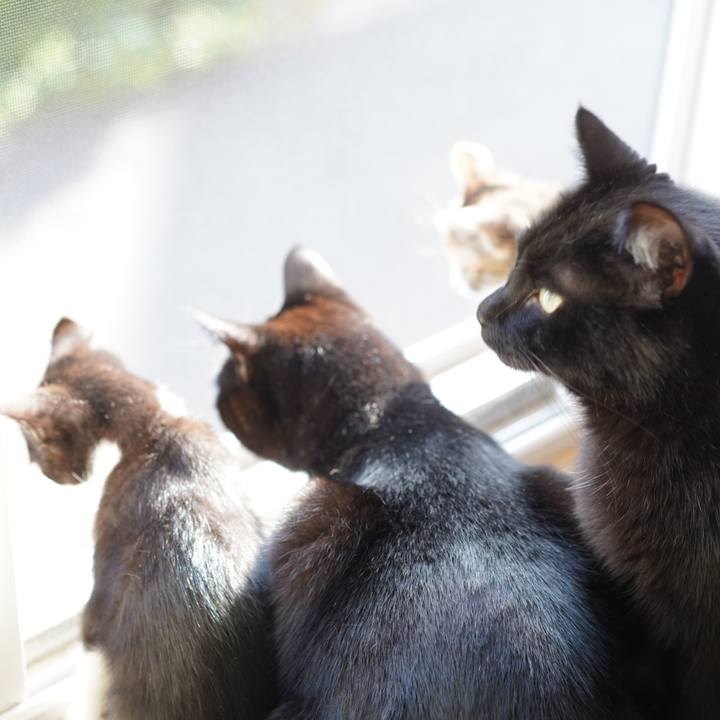 C778090c 3fb0 473b b2b9 e44557a1f36f 1567780338009