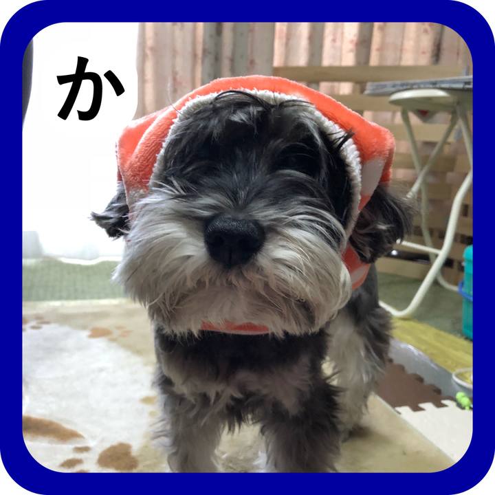 C7781e53 5f71 446a b67d fa89862fbc13 1514906357212