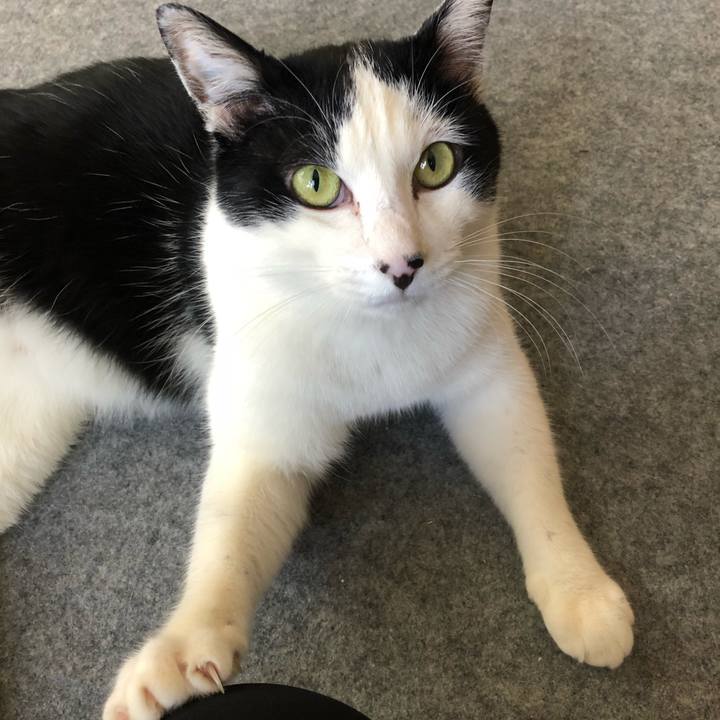 C77857cb 438f 49ad 8ecb b037d862d5a7 1552630093011