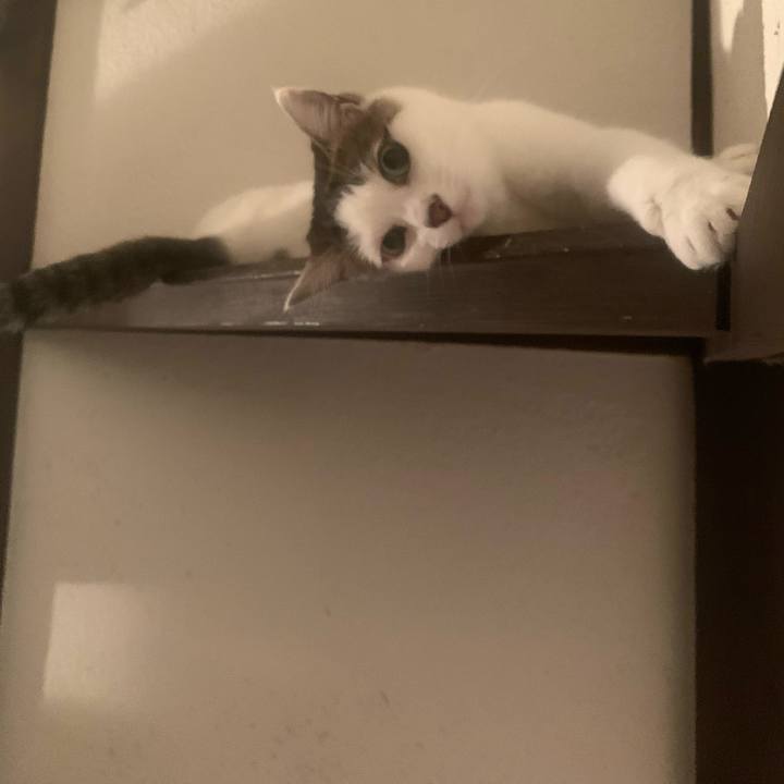 C7786d46 2bf8 4509 abad ae77e0088fc8 1673283216990