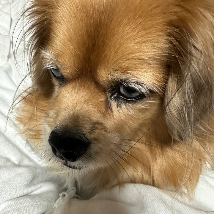 C7788857 fc23 481f 8a70 777ea1e8880d 1733951510275