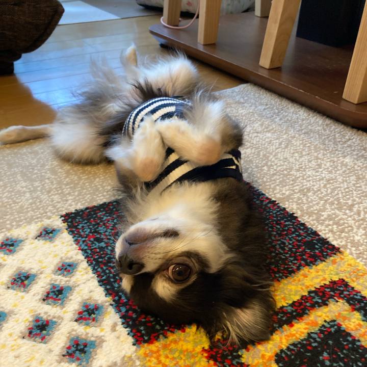 C7789b81 363f 44ef 927a 2a4ea6ae47bd 1714840250832