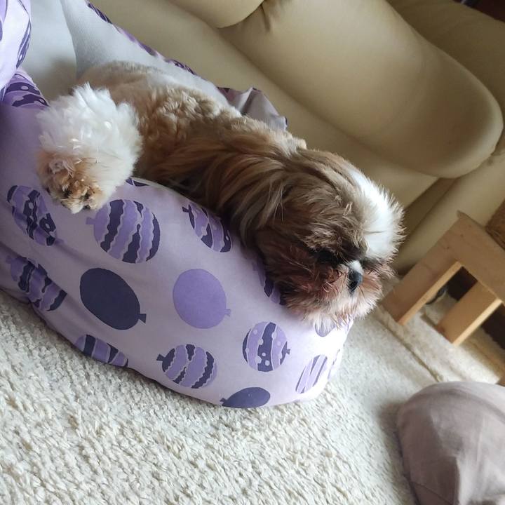 C778afa1 c682 433b 9640 fe050058bb89 1594359518282