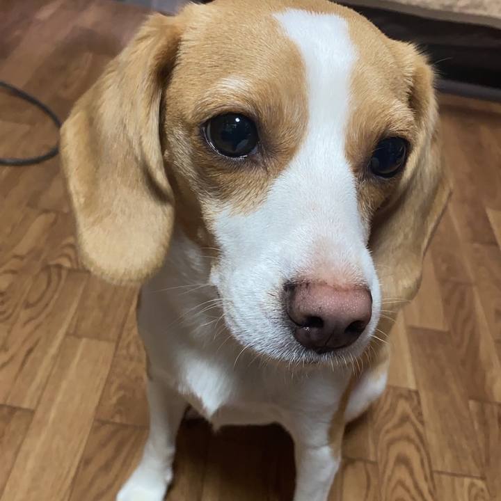 C778ecab 2036 4c05 92ed 6b3baa5c8ac1 1594642839010