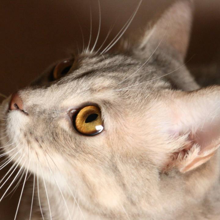 C778f134 1507 49f0 b4c3 cd2da9d1d020 1510361412250