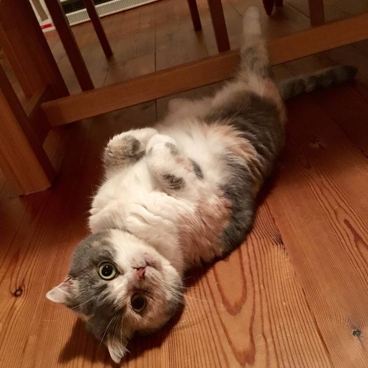 C77946ab 6c48 477a ac01 2a5d09de5d60 1563706778584