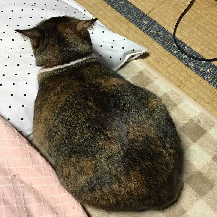 C779679a b240 42f7 b7e7 5b92b5e966c0 1668601605122