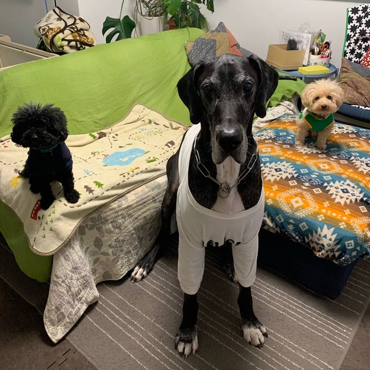 C779b717 c738 408e 931c 8c84ee15b620 1573684740872