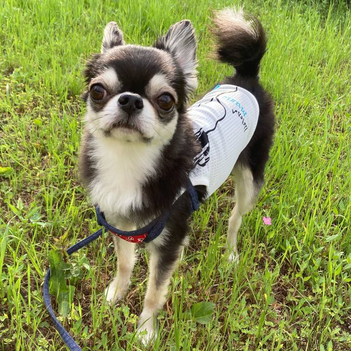 C779bb92 6804 4259 9380 67858e6042bc 1683387783390