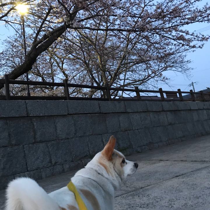 C779ca2f a73b 4dd5 8f0b 6e12db4fb6f1 1616762126093