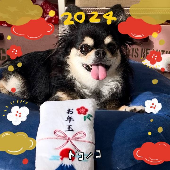 C779daa1 f20a 4bcd 9812 a6e7d1430537 1704072172360