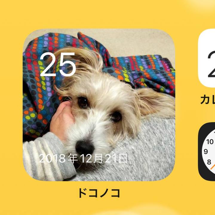 C77a0837 3388 49f5 8aaa 740c4d7770e4 1640394286355