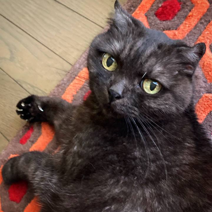 C77a200c 4533 4600 af30 3550a42a2439 1627104508867