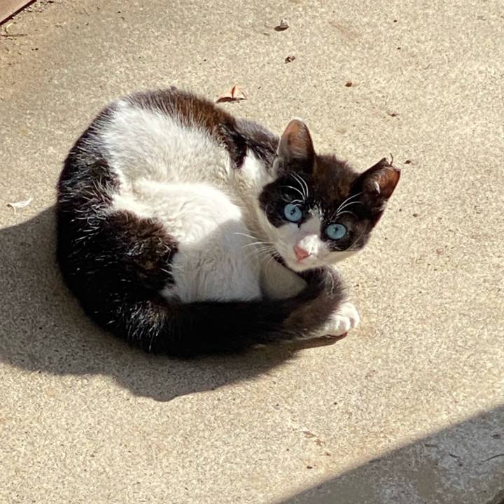 C77a4b78 5642 40df 9e64 fc25bf9b1495 1683190752462