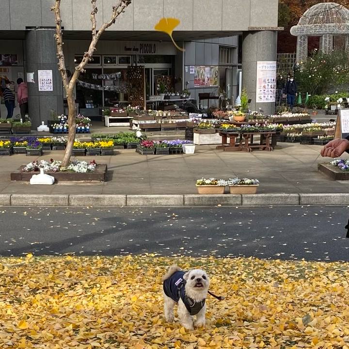 C77a9168 6499 4a4b 8be0 9a050b407bc8 1607944161536