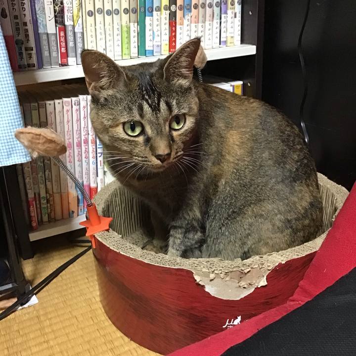 C77ac101 aa82 43f7 949c e6c7591d5fed 1692270103998