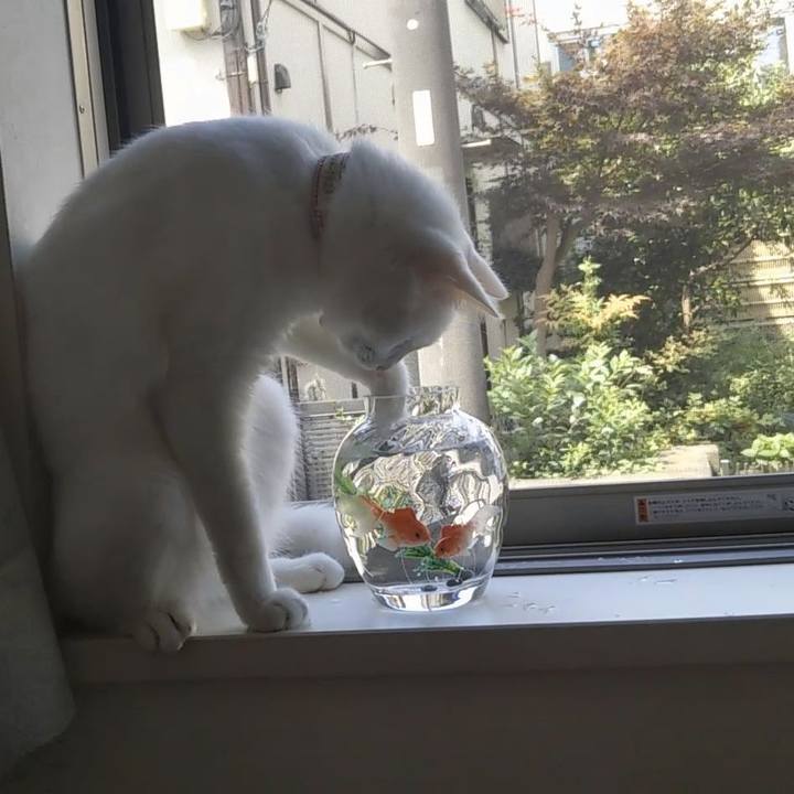 C77ac237 83a6 4505 8b48 47174c503b46 1627517133543