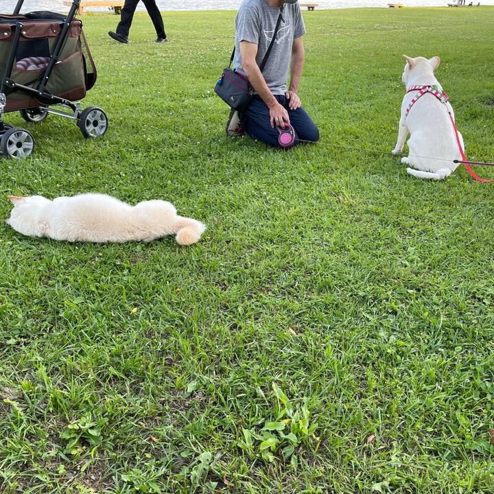 C77af629 6ef0 460d a739 cbcc6da89ace 1653665440930