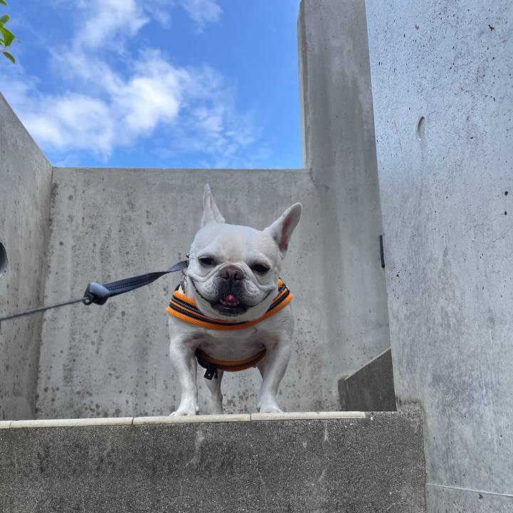 C77b0214 db9c 4ac1 8ec4 6a43c1c2cc2a 1725422501567