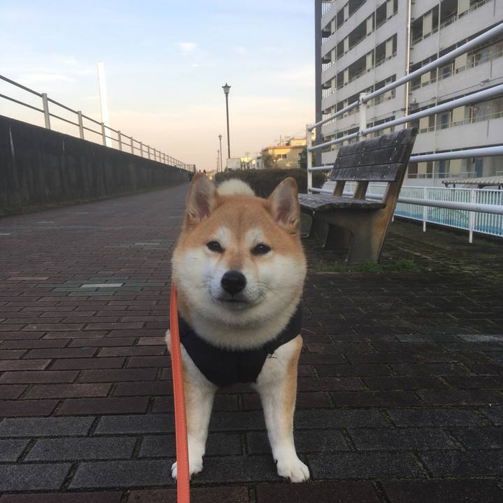 C77b4446 6d4e 4e22 9a2c 6fd568b47629 1545288677423