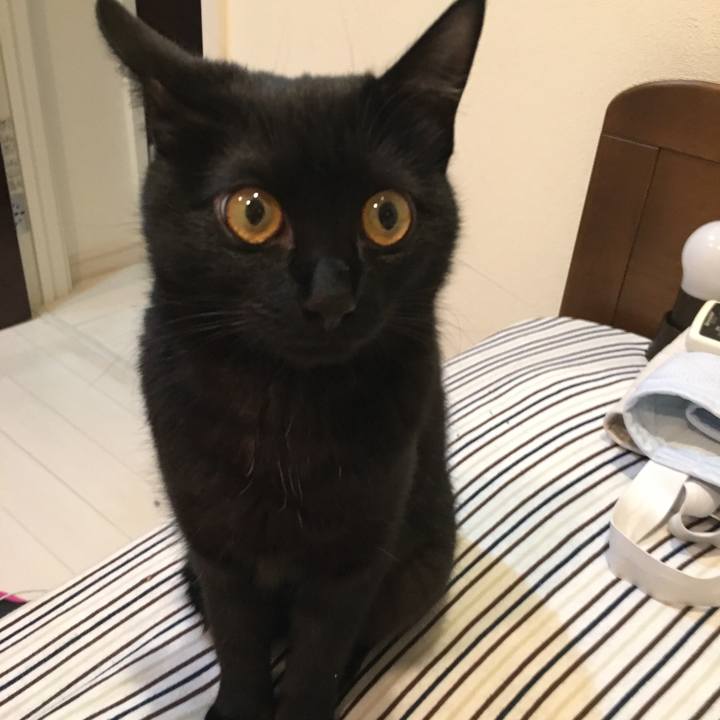 C77b56b9 b21a 4329 80b4 cc2d07a3bcb8 1515581589390