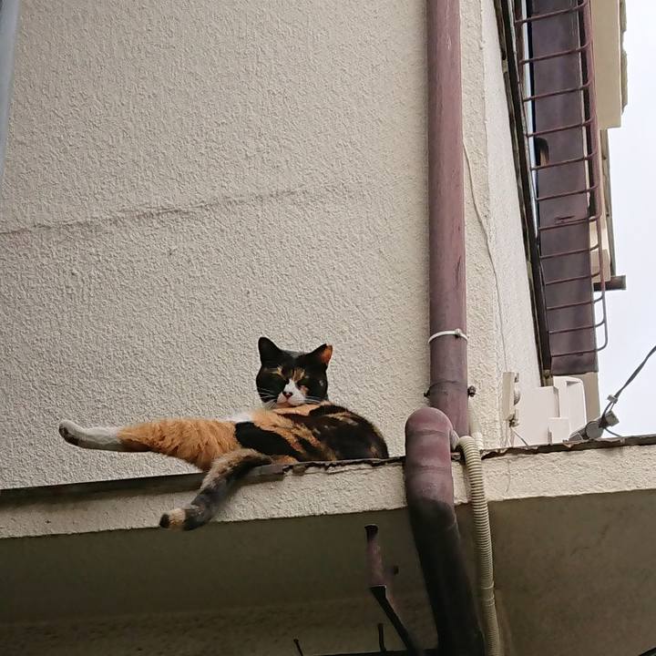 C77b946b 9cf7 4428 83a3 c10a1b597a1b 1527047561135