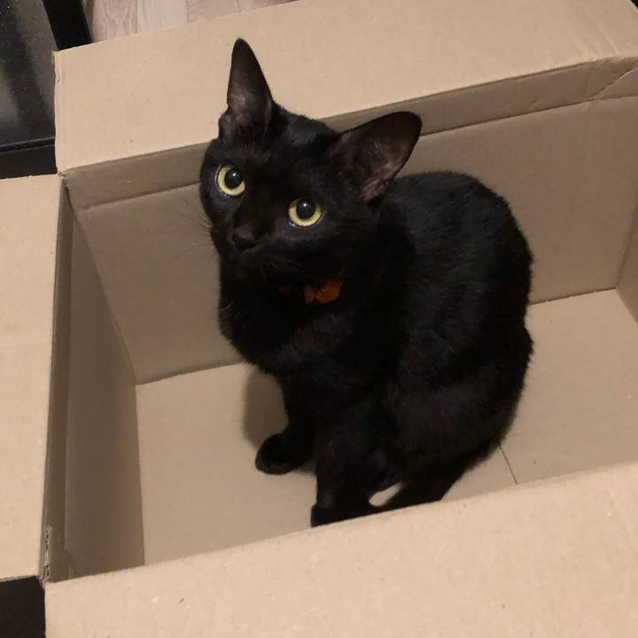 C77bced1 d08b 4714 b9e1 cc44e6943d2f 1557832110283