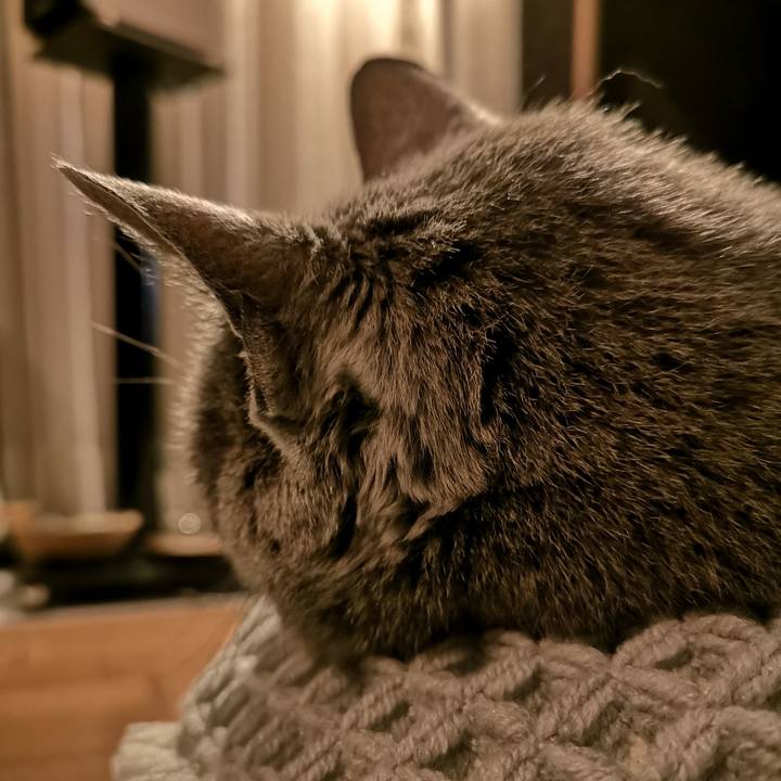 C77bd820 4861 4ed7 b788 dc5830106cc1 1672098845823