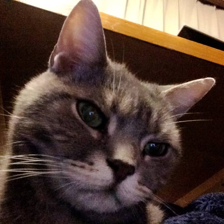 C77c0d19 2631 4ce4 9887 9b08c6dc0a32 1511606748493