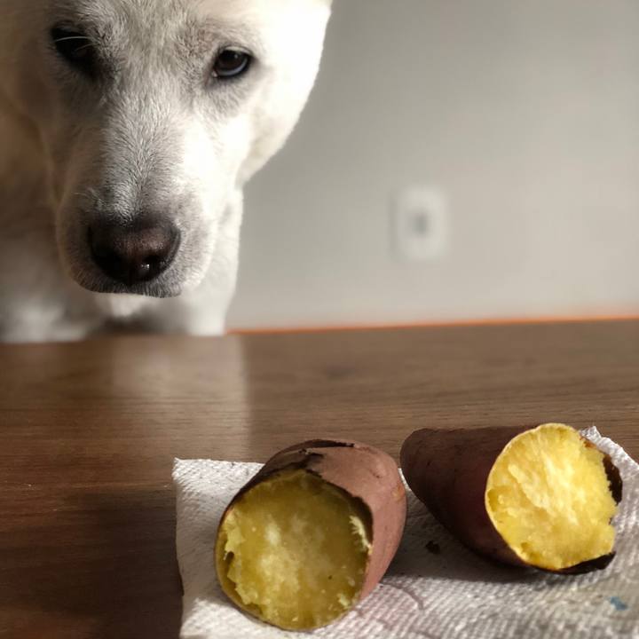 C77c5a37 9f0d 4501 afba 60863add4ab3 1549449574634