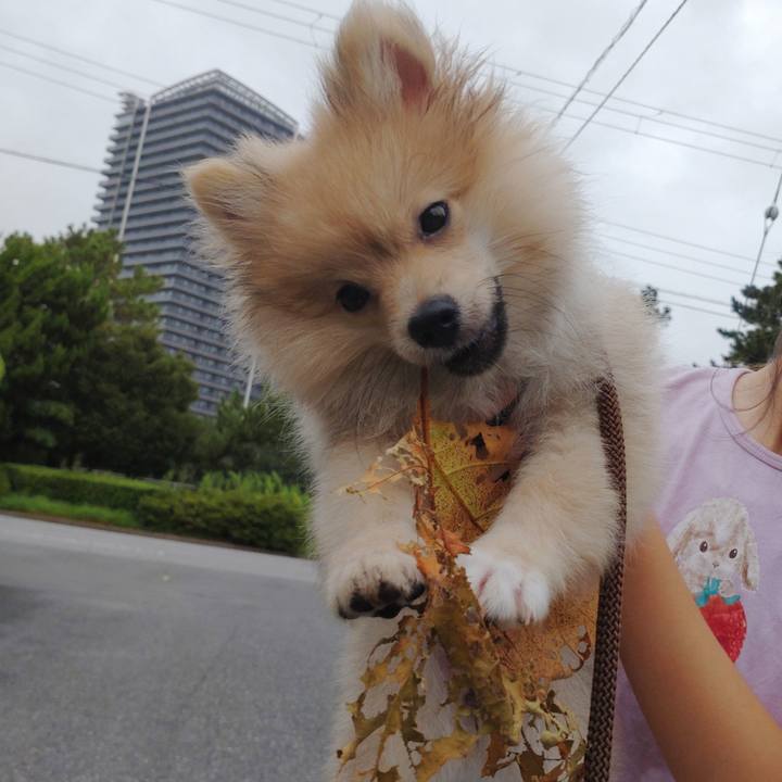 C77ca5e0 e7ac 4cce 87f4 8094a54d11f6 1723768797288