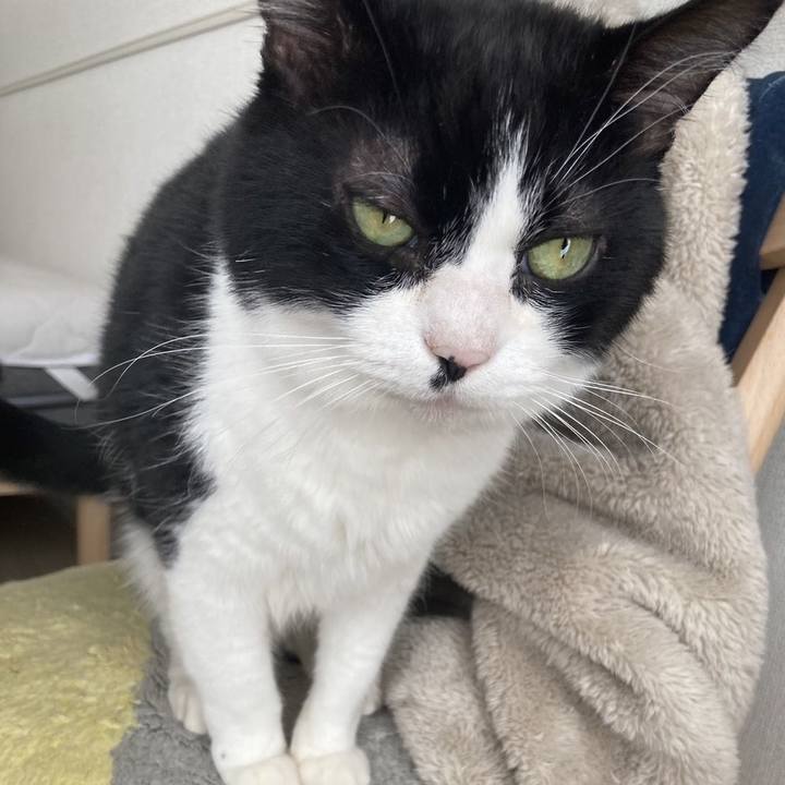 C77cae5a fa18 4bc0 8de1 086966cd2487 1673789069759