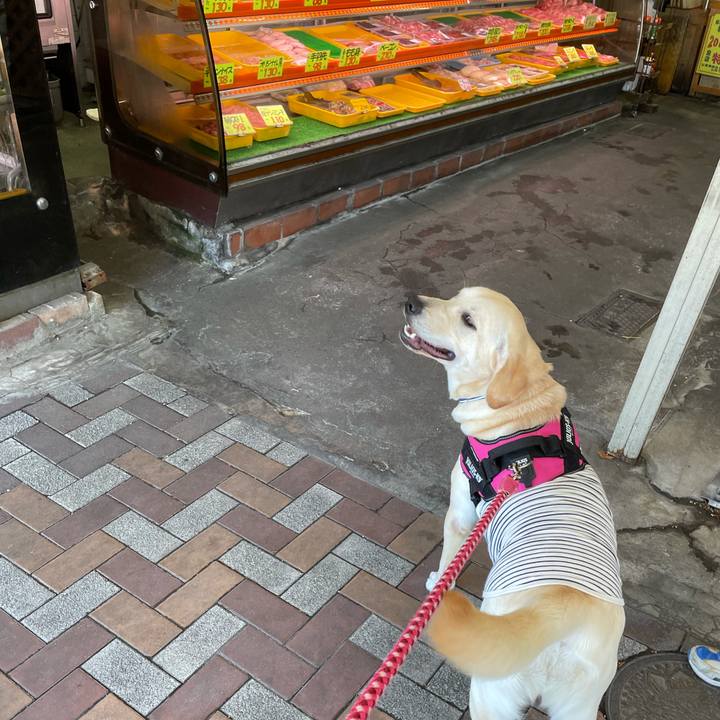 C77cba13 1a13 4087 994c f7d7ea177543 1628153788426