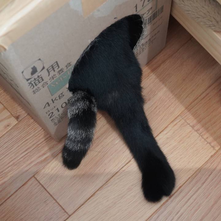 C77cc91b 6378 4277 aed7 7ce3181a1b91 1597654752398