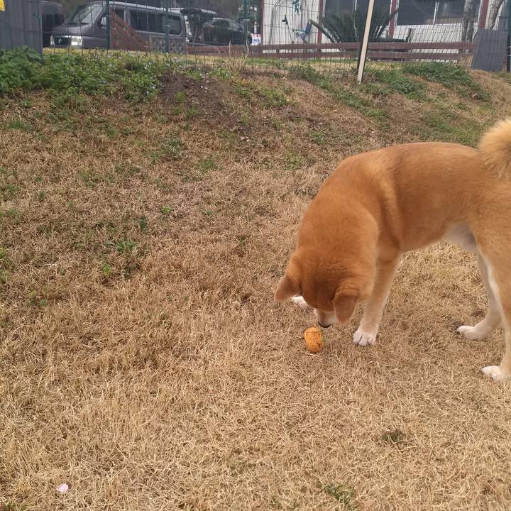 C77cedc9 ccbb 4db5 aeb6 0d4a3b1a533e 1581766839614