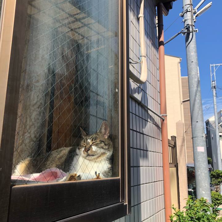 C77d262d 4c20 4a23 b9a9 d643b9c2a69f 1589721675451