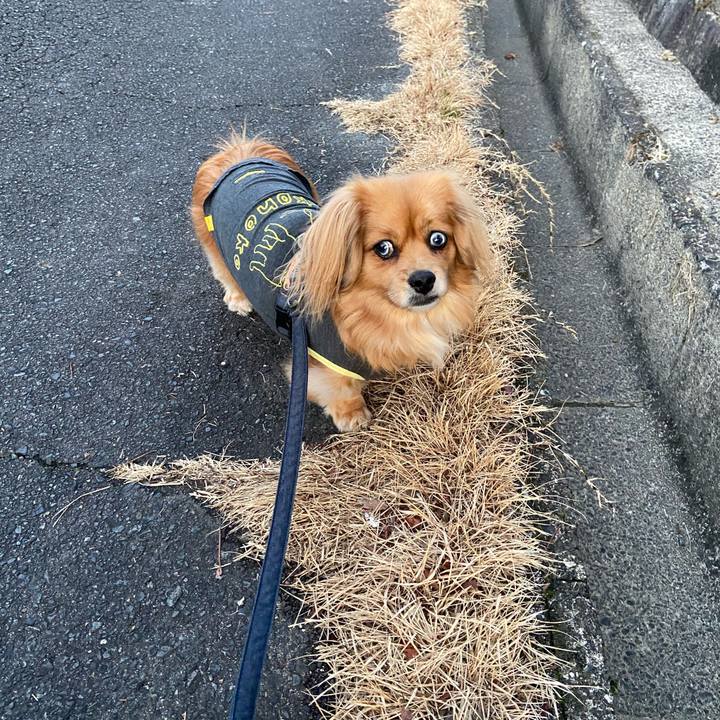 C77d367b e801 44e0 8db1 8d74e6d4c4c7 1579904441914