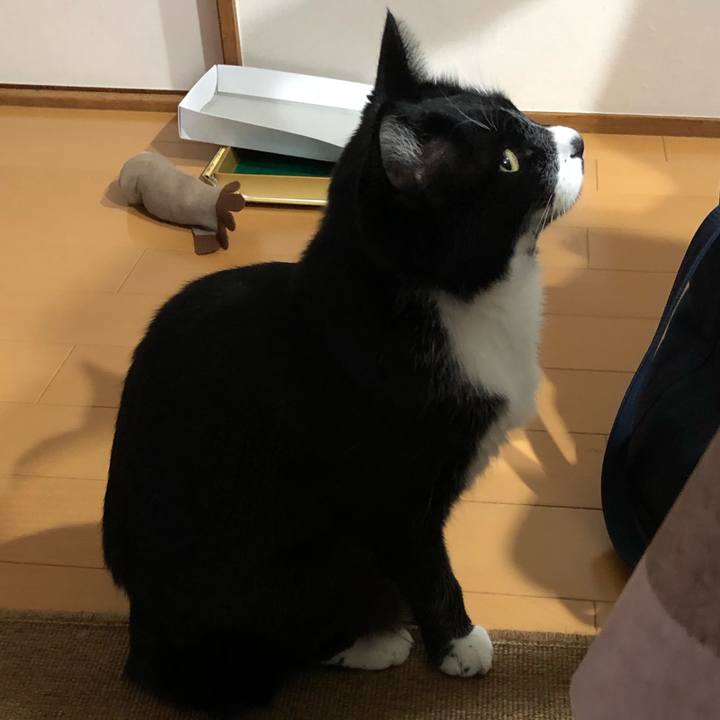 C77d456c 986e 4cf3 9ebb 8d6cfb22e8c3 1608261713053