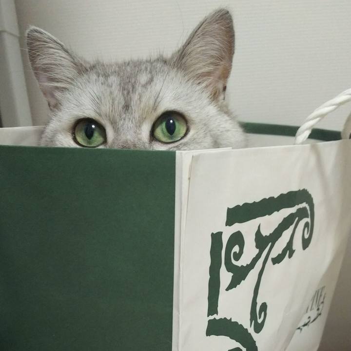 C77d6d68 c3c0 4d93 a336 563408b8e0b1 1533471214709